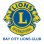 Bay City Lions Foundation