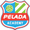 Pelada Football Academy