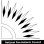 South Hampton Roads Pan Hellenic Council