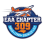 Chapter 309 Of The Experimental Aircraft Association Inc