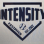 Texas Intensity Fastpitch