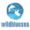 Wildbluesea Inc