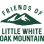 Friends of LWOM