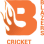 Northern California Cricket Association (NCCA)