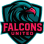 Falcons United