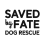 Saved By Fate Inc