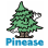 PINEASE ASSOCIATION INC