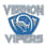 Vernon Youth Football Inc