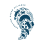 Carolina Ocean Alliance