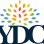 Youth Development Company