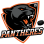 Panthères - hockey