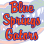 Blue Springs Gators