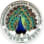 Malayalee Association Of Westchester Inc