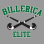 Billerica Youth Field Hockey