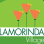 Lamorinda Village Inc