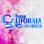 Miss California Volunteer Scholarship Association