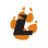 Lourdes University Cheerleading