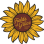 Fields Of Grace Ministries Inc