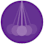 Idealized Science Institute