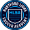 Hartford Lions Soccer Academy, Inc