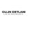 Ollin Detlani Inc