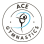 Ace Gymnastics Foundation