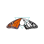 Clearwater Collective Inc.