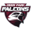 Deer Park Falcons Football