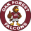 Oak Forest Elementary PTO