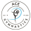 Ace Gymnastics Foundation