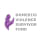Domestic Violence Survivor Fund