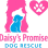 Daisys Promise Dog Rescue Inc