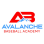 Avalanche Baseball Academy