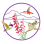 Hummingbird Conservation Networks