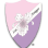 Raleigh-Durham Chapter of Las Amigas