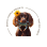 Boykin Spaniel Club & Breeders Association of America