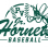 Passaic Valley Junior Hornets Baseball 8U