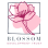 The Blossom Development Trust
