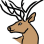 Bragg Creek Wild Society