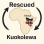 Rescued Kuokolewa