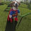 Handicapable Hounds (Hound Dog Designs)