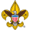 BSA Troop 46