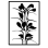 Tucson Poetry Festival / Ocotillo Literary Endeavors Inc
