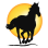 Sunshine Horses Inc.