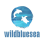 Wildbluesea Inc