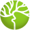International Pediatric Stroke Organization Inc