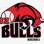 B2 Bulls 12U