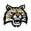 Bhs Track And Field Boosters Inc