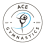 Ace Gymnastics Foundation