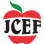 The Johnston County Education Foundation Inc
